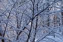 20071228_094129 D2X F